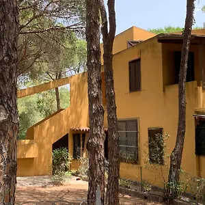  Appartamento Cala Marina 3 4 Posti A 300 Mt Dal Mare